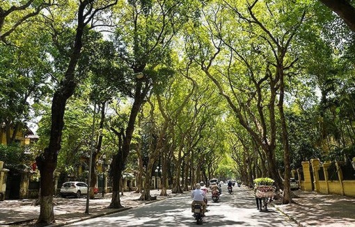 Thời tiết ngày 4-11: Hầu hết các vùng trong cả nước đều nắng ráo