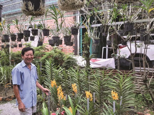 Hiệu quả hoạt động của Trung tâm Văn hóa và Học tập cộng đồng xã Mỹ Hòa Hưng