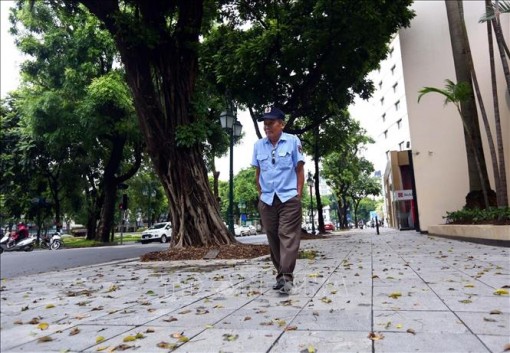 Bắc Bộ đón gió mùa Đông Bắc từ ngày 6-11