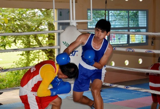 Boxing An Giang sẽ tạo bất ngờ