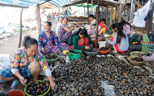 Mưu sinh mùa nước nổi