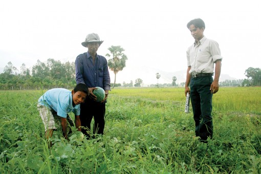 Giảm nghèo và câu chuyện “cần câu”, “con cá”