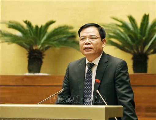 Quản lý chặt việc sử dụng phân bón và giống cây trồng