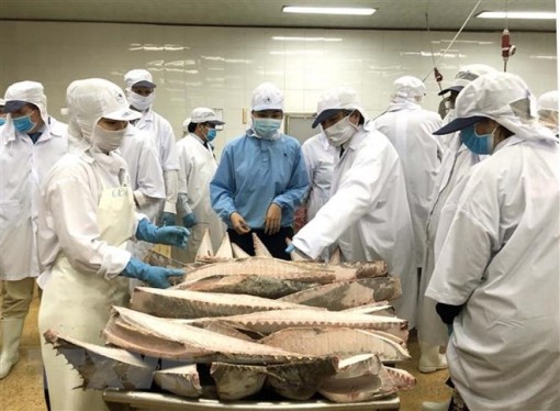 MEPs đánh giá cao những nỗ lực chống khai thác IUU của Việt Nam