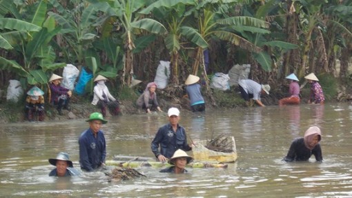 Góp sức chung lòng làm việc thiện