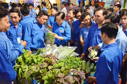 Bước chuyển khởi nghiệp ở xứ dừa