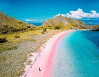Bãi biển hồng ở Indonesia đẹp như bảng pha màu