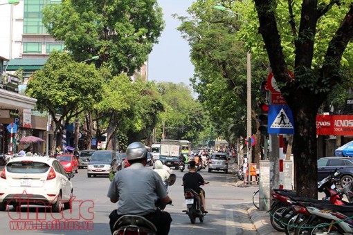 Biển Đông mưa dông, Bắc Bộ ngày nắng