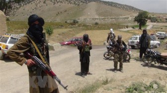Quân đội Afghanistan tiêu diệt hàng chục phiến quân Taliban