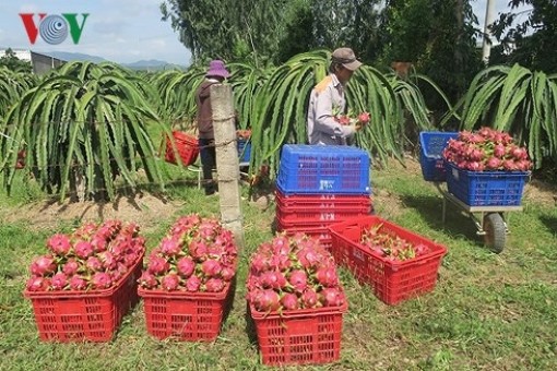 Kim ngạch xuất khẩu 2018 dự báo đạt 240 tỷ USD