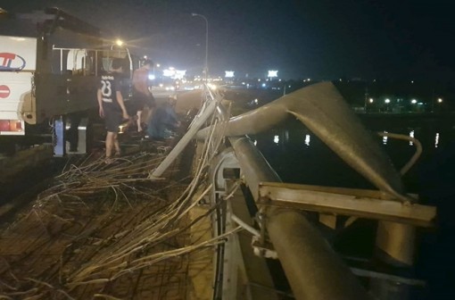 Hàng loạt cây xanh, cột đèn ở Cần Thơ bị ngã do mưa lớn