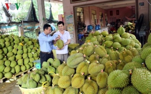 Xuất khẩu khởi sắc tạo động lực cho nhiều ngành kinh tế