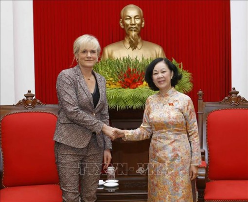 Trưởng Ban Dân vận Trung ương tiếp Đoàn đại biểu Cánh tả Đức
