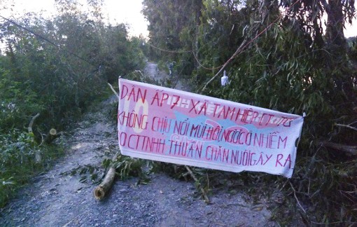 Chủ tịch UBND Tiền Giang yêu cầu chủ trại gà 65.000 con di dời trong 4 ngày