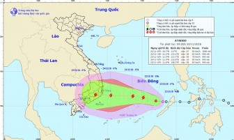 Áp thấp nhiệt đới mạnh lên thành bão, cảnh báo gió giật cấp 12
