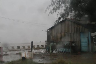 Các tỉnh Đông Nam Bộ gió giật cấp 8, mưa to, khả năng có lốc xoáy