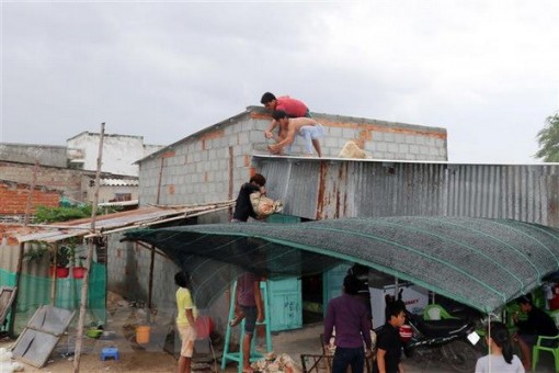 Đồng Tháp chủ động các biện pháp phòng, chống bão số 9