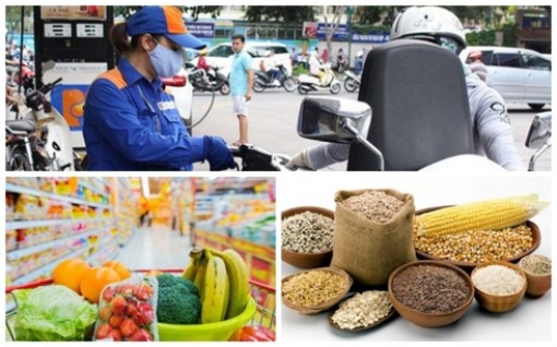 CPI tháng 11 giảm nhẹ nhờ giảm giá xăng, gas
