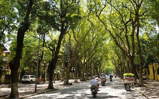 Thời tiết ngày 1-12: Hà Nội có mưa rào