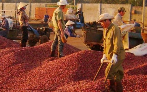 Xuất khẩu tiêu, cà phê chưa hết lo trong năm 2019