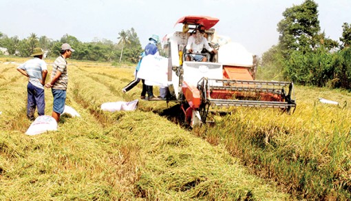 Đồng bằng sông Cửu Long phát triển xanh, bền vững