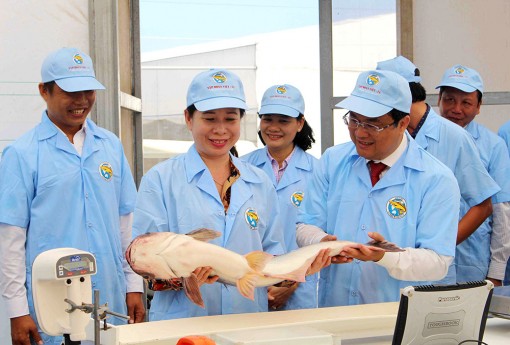 Bí thư Tỉnh ủy Võ Thị Ánh Xuân làm việc với Công ty Công ty Cổ phần Việt - Úc