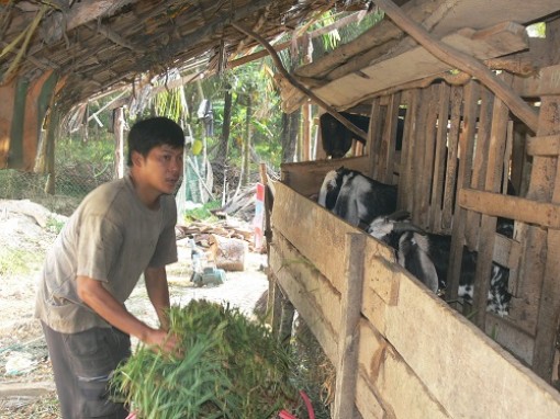 Tiền Giang: Năm 2020, phấn đấu tỷ lệ hộ nghèo còn dưới 3%