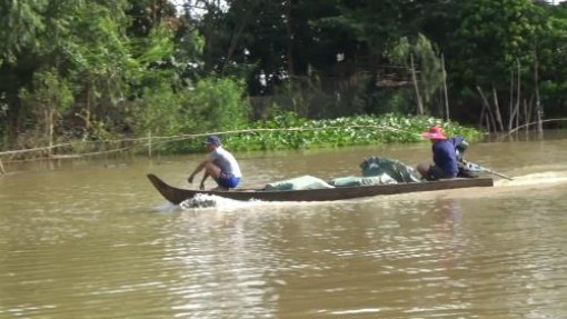 Tiền Giang kiểm soát buôn lậu thuốc lá tháng cuối năm