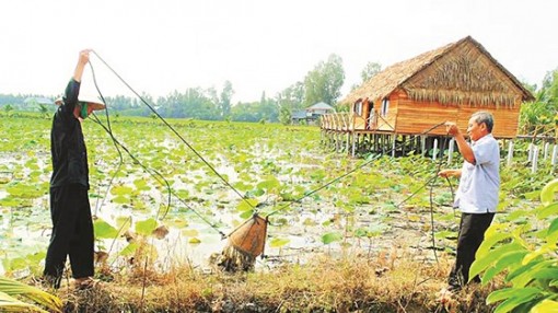 Homestay ở Tam Nông