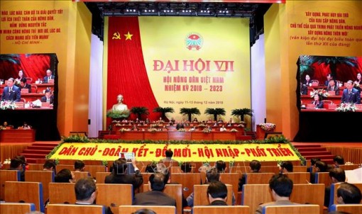 Thúc đẩy liên kết giữa nông dân và doanh nghiệp