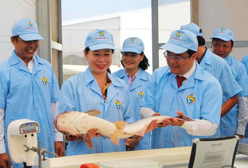 Hướng đến chất lượng, hiệu quả