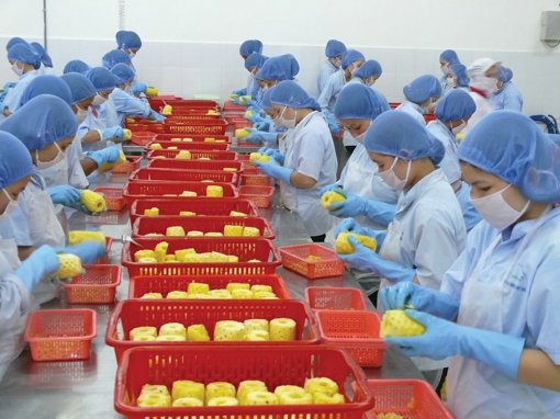 Đưa rau quả khai thác thị trường nội địa
