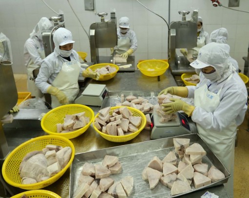 Tiếp sức cho doanh nghiệp trong nước tăng tốc xuất khẩu