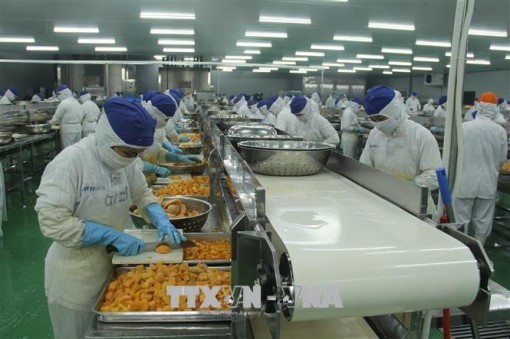 Long An thu ngân sách đứng đầu khu vực đồng bằng sông Cửu Long