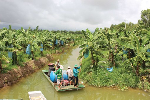An Giang phải thu hút các doanh nghiệp đủ tầm