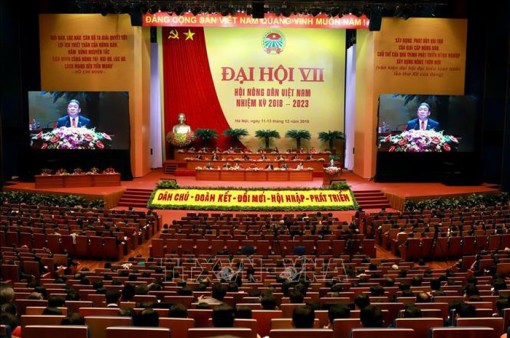 Đổi mới tư duy, tạo những giá trị mới cho nông nghiệp, nông thôn và nông dân Việt Nam