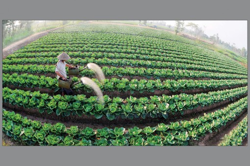 Chính sách ưu đãi đầu tư trên địa bàn tỉnh An Giang
