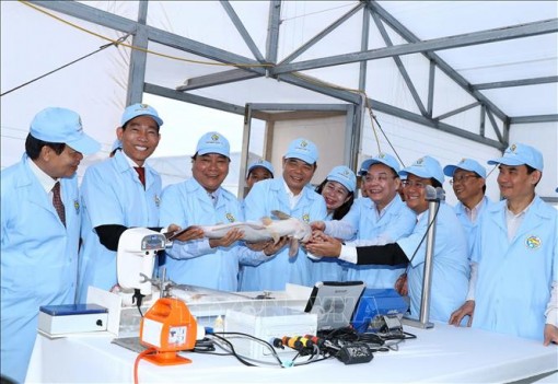 Thủ tướng thăm Khu sản xuất cá tra giống công nghệ cao tại An Giang