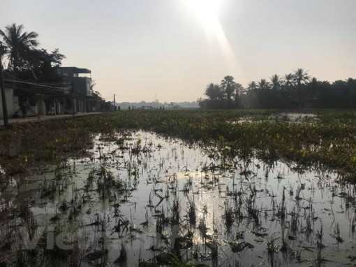 Thanh Hóa: 4.000l dầu của một chi nhánh xăng dầu tràn ra môi trường
