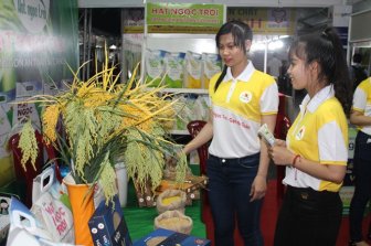 Khai mạc Festival lúa gạo và công bố logo thương hiệu gạo Việt