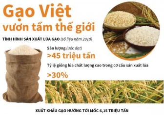 Gạo Việt vươn tầm thế giới