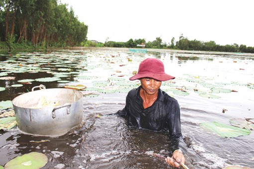 Chung sống với biến đổi khí hậu