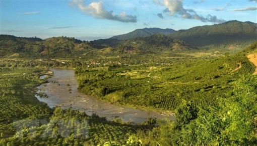 Bắc Bộ ngày nắng ấm, Nam Bộ chiều tối có mưa rào và dông