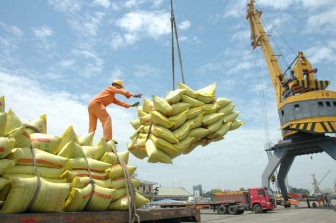 Gạo Việt Nam tạo thương hiệu trên thị trường thế giới