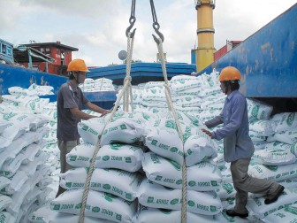 Xuất khẩu gạo 1 năm “được mùa”