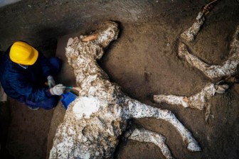 Phát hiện xác ngựa còn nguyên yên cương gần 2.000 năm sau thảm họa núi lửa Vesuvius