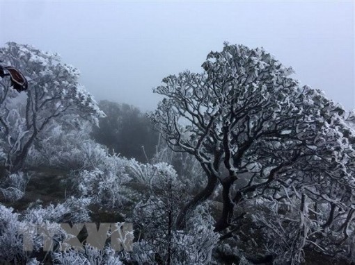 Bắc Bộ sáng sớm trời rét, Nam Bộ đề phòng thời tiết nguy hiểm