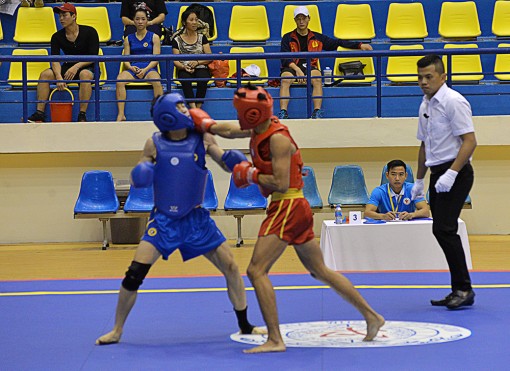 Võ thuật vẫn là môn thể thao chủ lực