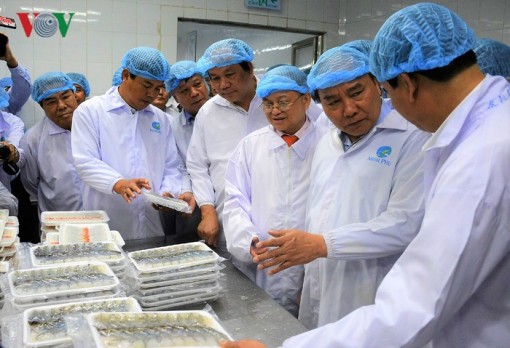 ĐBSCL phát triển theo hướng 'thuận thiên' thích ứng biến đổi khí hậu