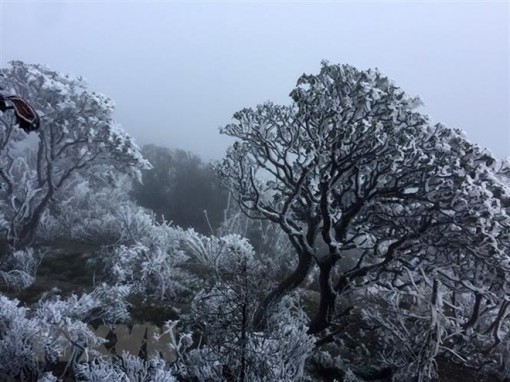 Bắc Bộ rét đậm, vùng núi cao có khả năng xảy ra mưa tuyết, băng giá